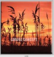 /album/photo-gallery-canvas-uri/decoratiuni-de-perete-canvas-lc-1159-jpg/